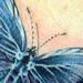 Tattoos - Eastern Tailed Blue Butterfly   - 65081